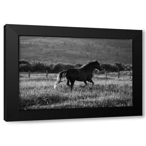 Going Home Black Modern Wood Framed Art Print by Aledanda