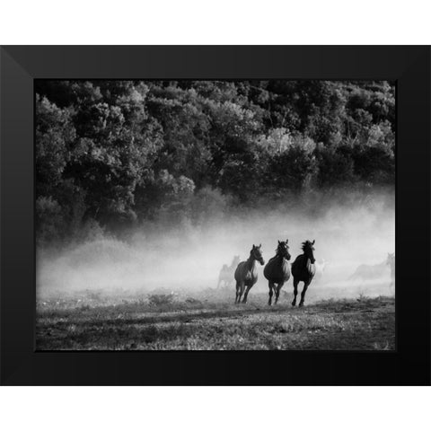 Horse country Black Modern Wood Framed Art Print by Aledanda
