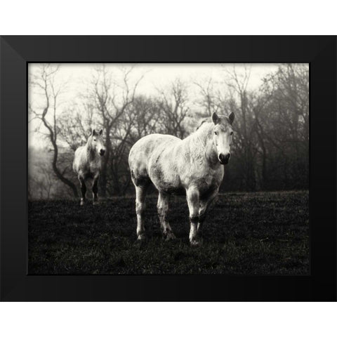 Leading the Way Black Modern Wood Framed Art Print by Aledanda