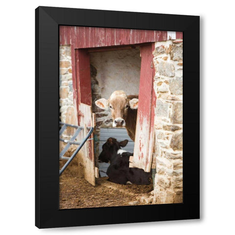 Resting Black Modern Wood Framed Art Print by Aledanda