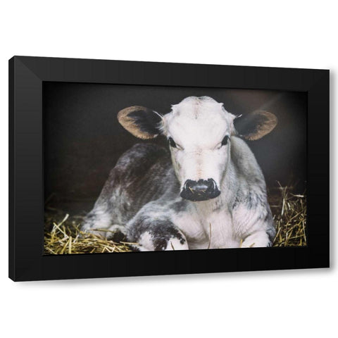 Busy Day Crop Black Modern Wood Framed Art Print by Aledanda