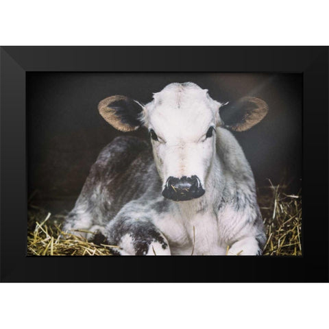 Busy Day Crop Black Modern Wood Framed Art Print by Aledanda