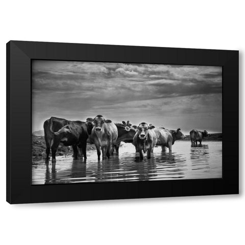 In the River Black Modern Wood Framed Art Print by Aledanda