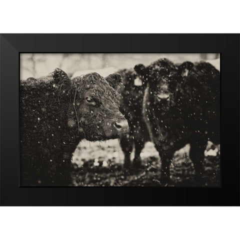 Its Snowing Black Modern Wood Framed Art Print by Aledanda