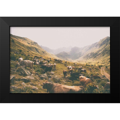 In the Valley Black Modern Wood Framed Art Print by Aledanda