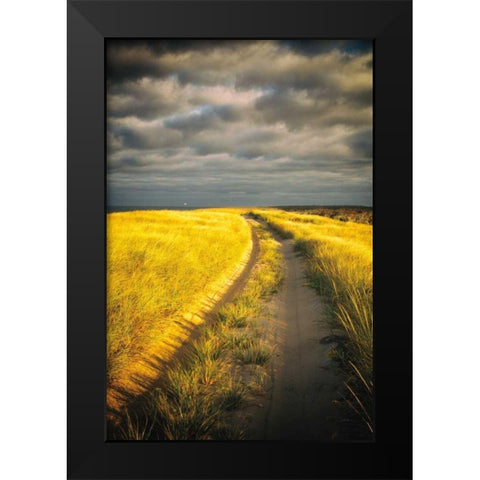 Down the Road Black Modern Wood Framed Art Print by Aledanda
