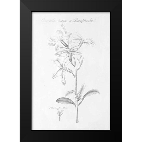 Botany Book IX Black Modern Wood Framed Art Print by Wild Apple Portfolio