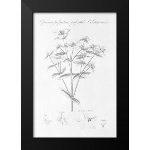 Botany Book X Black Modern Wood Framed Art Print by Wild Apple Portfolio