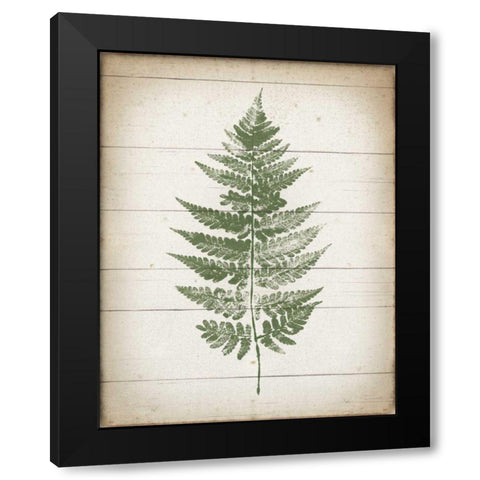 Fern Print I v2 Black Modern Wood Framed Art Print by Hershey, Moira