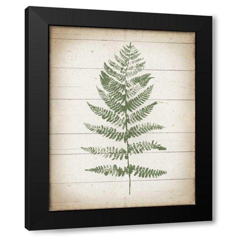 Fern Print II v2 Black Modern Wood Framed Art Print with Double Matting by Hershey, Moira