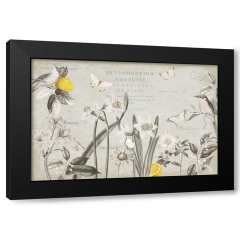 Citron Curiosities I Gray Black Modern Wood Framed Art Print with Double Matting by Pertiet, Katie