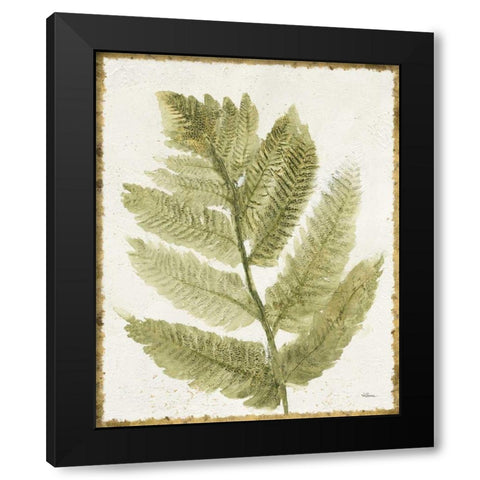 Forest Ferns I Antique Black Modern Wood Framed Art Print with Double Matting by Hristova, Albena