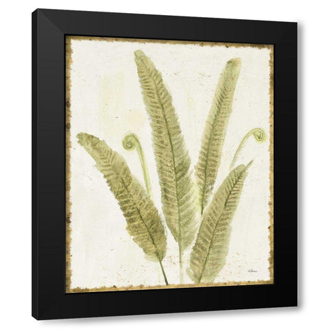 Forest Ferns II v2 Antique Black Modern Wood Framed Art Print with Double Matting by Hristova, Albena