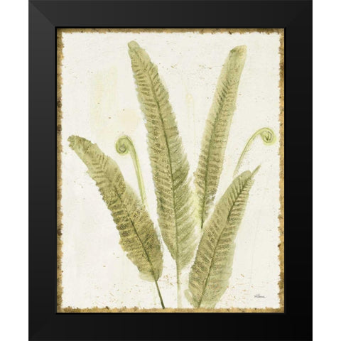 Forest Ferns II v2 Antique Black Modern Wood Framed Art Print by Hristova, Albena