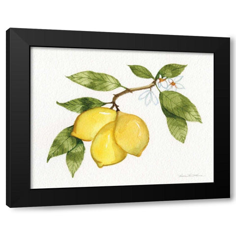 Citrus Garden I Black Modern Wood Framed Art Print by McKenna, Kathleen Parr