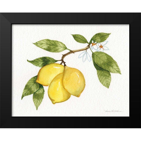 Citrus Garden I Black Modern Wood Framed Art Print by McKenna, Kathleen Parr