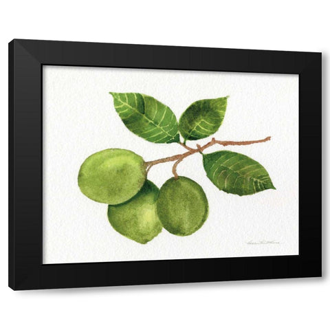 Citrus Garden II Black Modern Wood Framed Art Print by McKenna, Kathleen Parr
