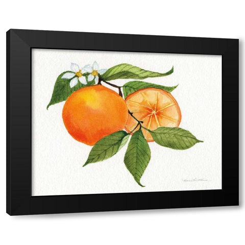 Citrus Garden V Black Modern Wood Framed Art Print by McKenna, Kathleen Parr