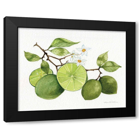 Citrus Garden VII Black Modern Wood Framed Art Print by McKenna, Kathleen Parr