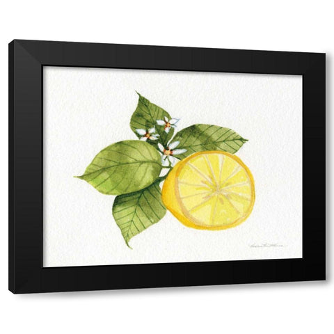 Citrus Garden IX Black Modern Wood Framed Art Print with Double Matting by McKenna, Kathleen Parr