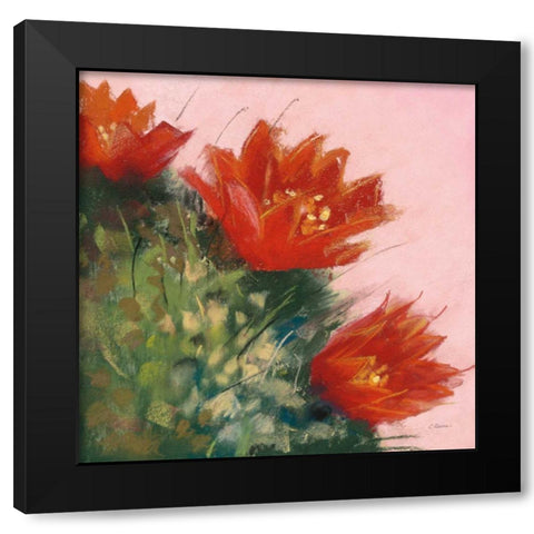 Blooming Succulent IV Black Modern Wood Framed Art Print by Rowan, Carol