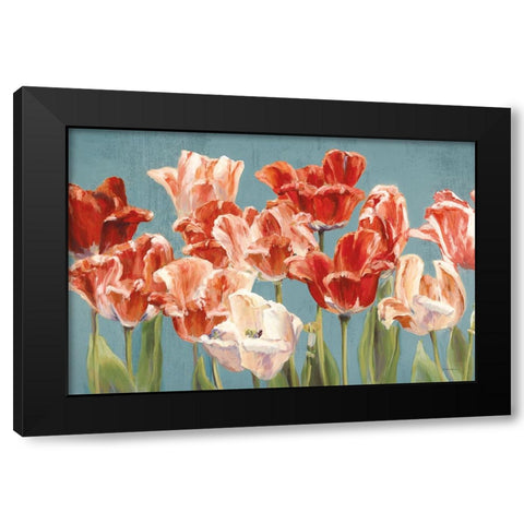 Crimson Tulips on Blue Black Modern Wood Framed Art Print with Double Matting by Hageman, Marilyn