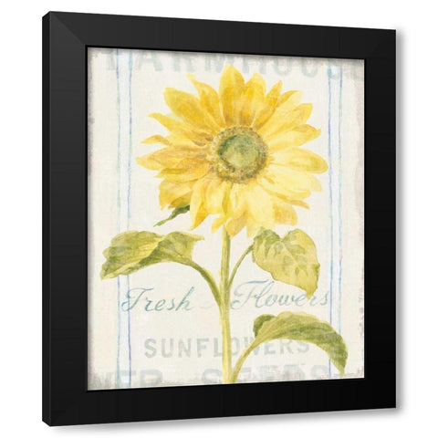 Floursack Florals II Black Modern Wood Framed Art Print with Double Matting by Nai, Danhui