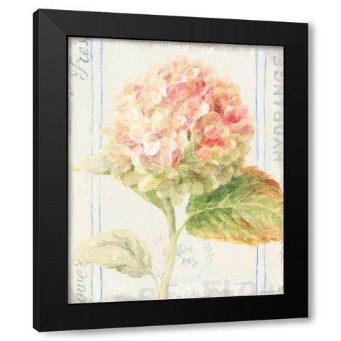 Floursack Florals VI Black Modern Wood Framed Art Print with Double Matting by Nai, Danhui