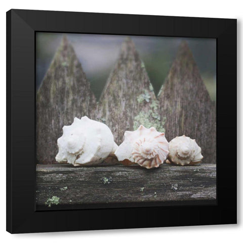 Beach Treasures Black Modern Wood Framed Art Print with Double Matting by Marshall, Laura
