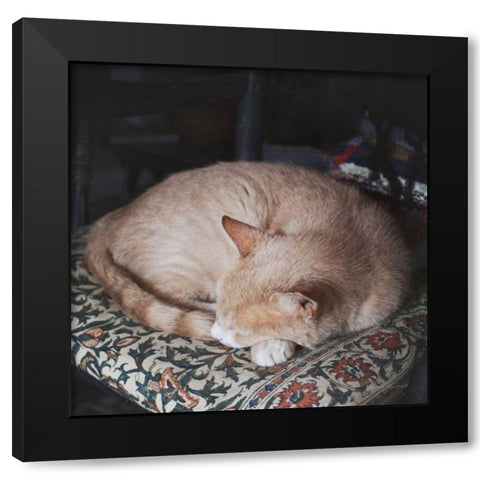 Sleepy Afternoon Black Modern Wood Framed Art Print with Double Matting by Marshall, Laura