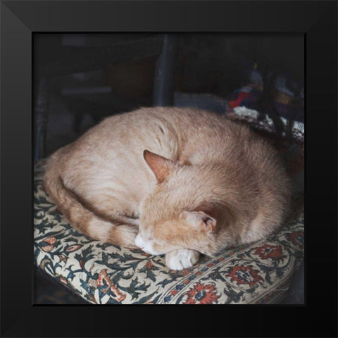 Sleepy Afternoon Black Modern Wood Framed Art Print by Marshall, Laura