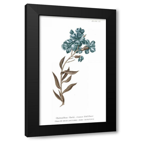 Conversations on Botany VI on White with Blue Black Modern Wood Framed Art Print with Double Matting by Wild Apple Portfolio