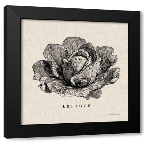 Burlap Vegetable BW Sketch Lettuce Black Modern Wood Framed Art Print by Studio Mousseau
