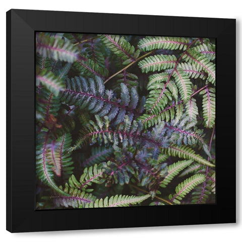 Funky Ferns V Black Modern Wood Framed Art Print by Marshall, Laura