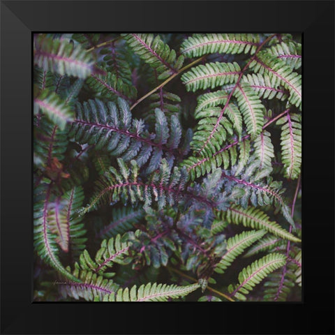 Funky Ferns V Black Modern Wood Framed Art Print by Marshall, Laura