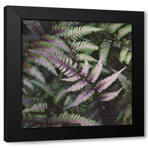 Funky Ferns VI Black Modern Wood Framed Art Print by Marshall, Laura