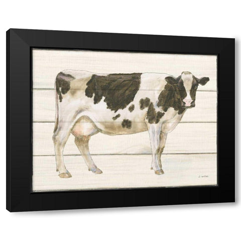 Country Cow VII Black Modern Wood Framed Art Print by Wiens, James