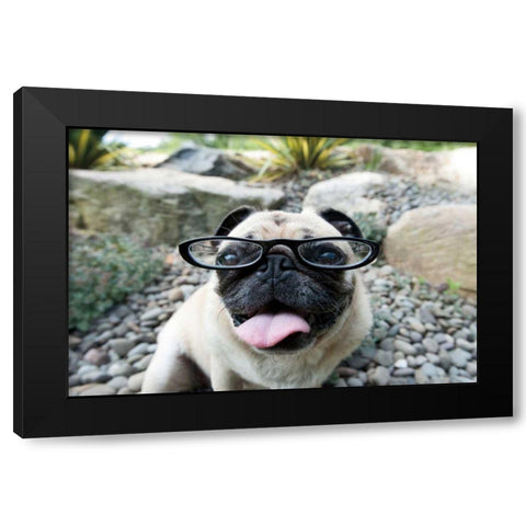 Four Eyes Black Modern Wood Framed Art Print with Double Matting by Dratfield, Jim