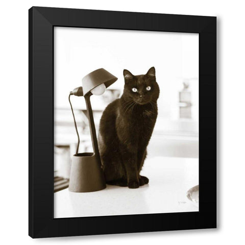 Lights Cat Action Black Modern Wood Framed Art Print with Double Matting by Dratfield, Jim