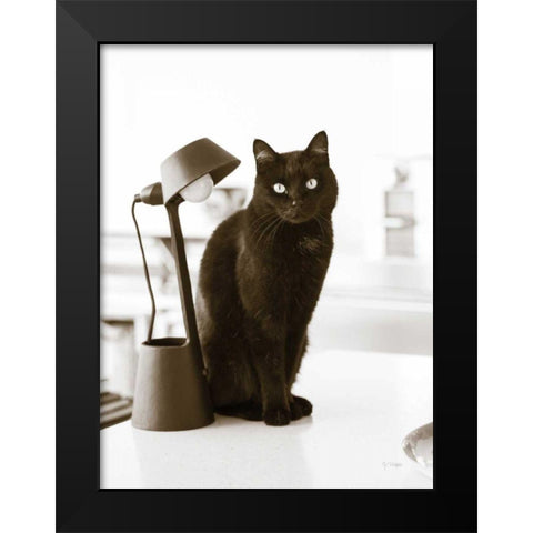 Lights Cat Action Black Modern Wood Framed Art Print by Dratfield, Jim
