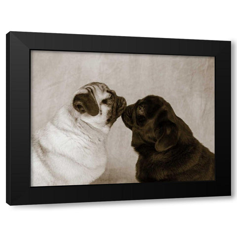 Pooch Smooch Black Modern Wood Framed Art Print by Dratfield, Jim