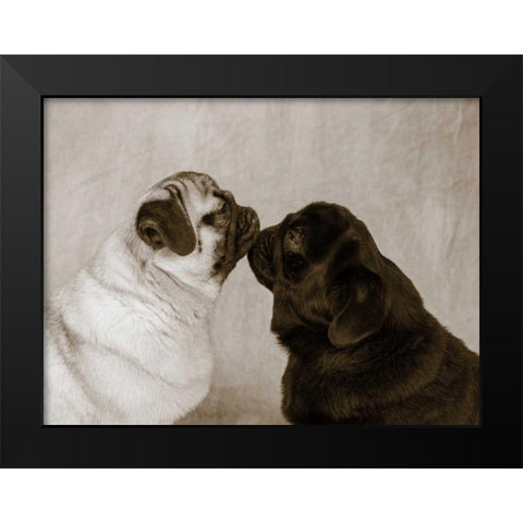 Pooch Smooch Black Modern Wood Framed Art Print by Dratfield, Jim