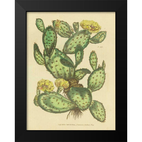 Herbal Botanical XXIX Black Modern Wood Framed Art Print by Wild Apple Portfolio