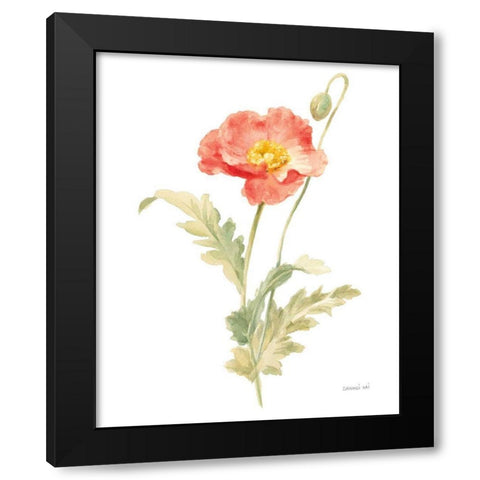 Floursack Florals on White IV Black Modern Wood Framed Art Print with Double Matting by Nai, Danhui