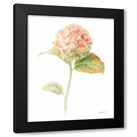 Floursack Florals on White V Black Modern Wood Framed Art Print with Double Matting by Nai, Danhui