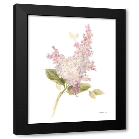 Floursack Florals on White VI Black Modern Wood Framed Art Print with Double Matting by Nai, Danhui