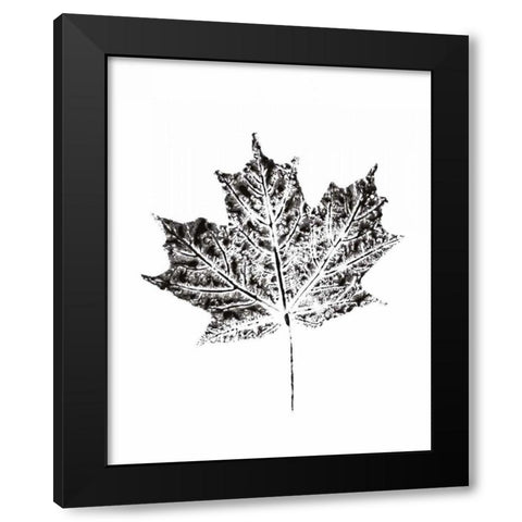 Harvest Sentiments I BW no Words Black Modern Wood Framed Art Print by Hershey, Moira
