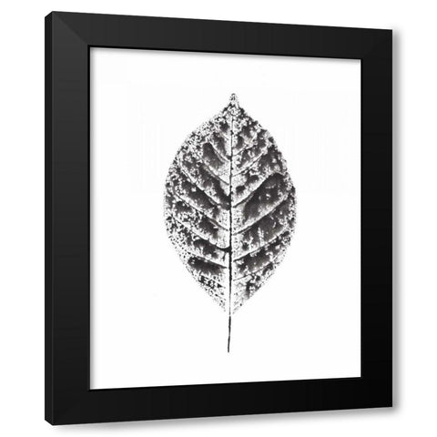 Harvest Sentiments V BW no Words Black Modern Wood Framed Art Print with Double Matting by Hershey, Moira