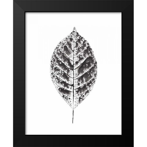Harvest Sentiments V BW no Words Black Modern Wood Framed Art Print by Hershey, Moira