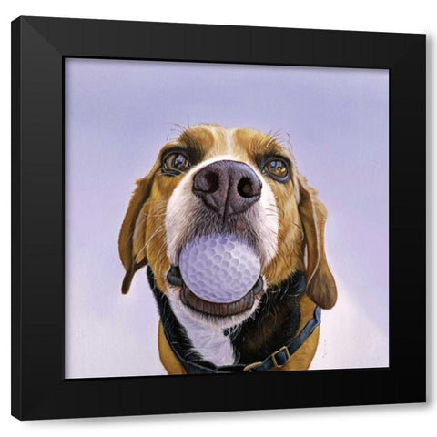 Denver Black Modern Wood Framed Art Print by Ruby, James